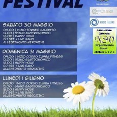 Vigo Festival