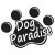 Parco Giochi per Cani Dog Paradise Palermo