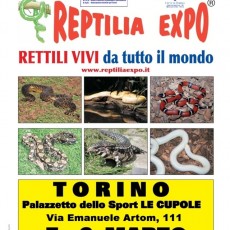 locandina Reptilia Expo - Torino - (FILEminimizer)