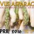 vivus-asparagus_small.jpg