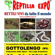 REPTILIA EXPO - L'affascinante mondo dei rettili