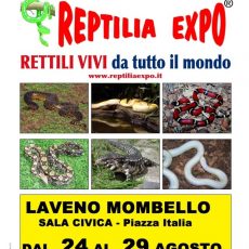 REPTILIA EXPO