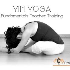 Yin_Yoga_Padova_Arely_Febbraio2018.jpg